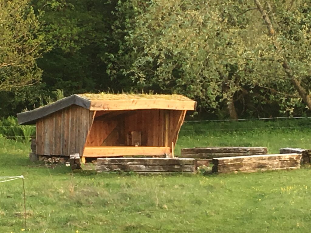 Shelter